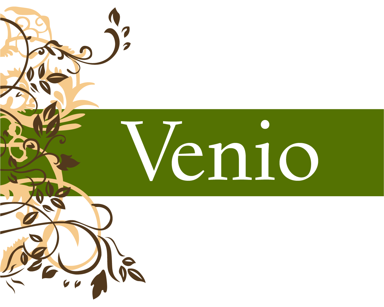 Logo Venio final